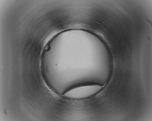 X0000103951424200809191200