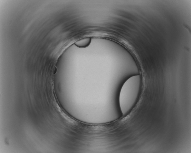 X0000103951425200809191200