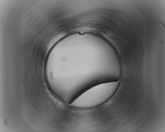 X0000103951426200809191200