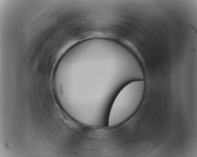 X0000103951427200809191200