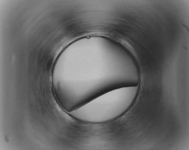 X0000103951428200809191200