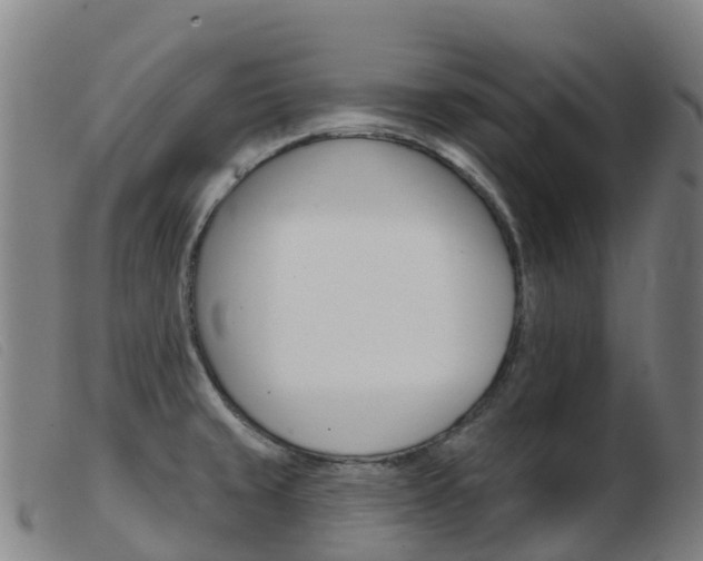 X0000103951429200809191200