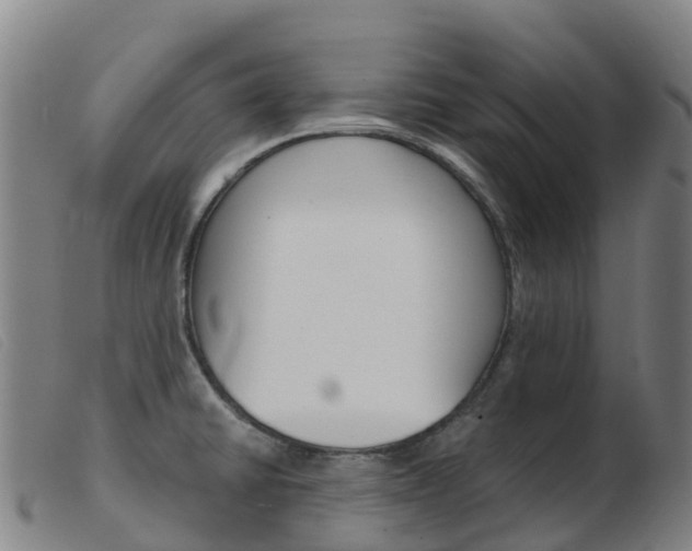 X0000103951430200809191200