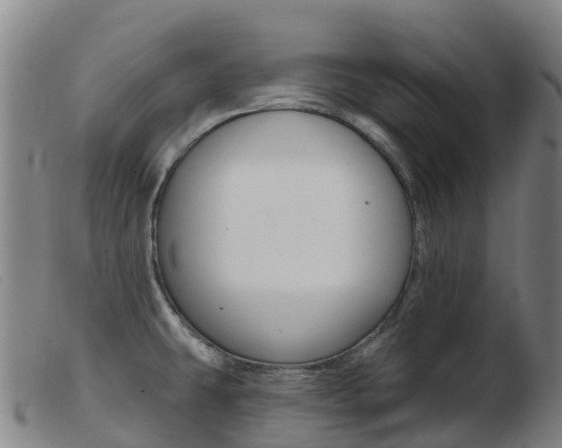 X0000103951431200809191200