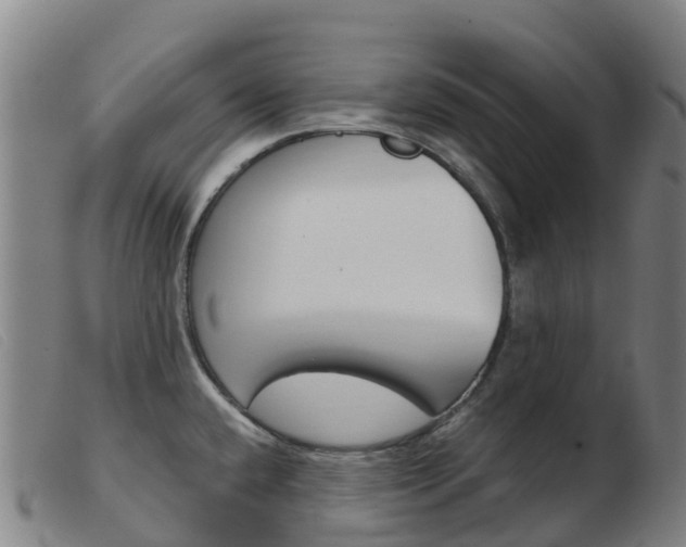 X0000103951432200809191200