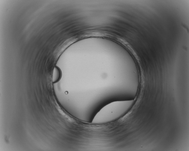X0000103951433200809191200