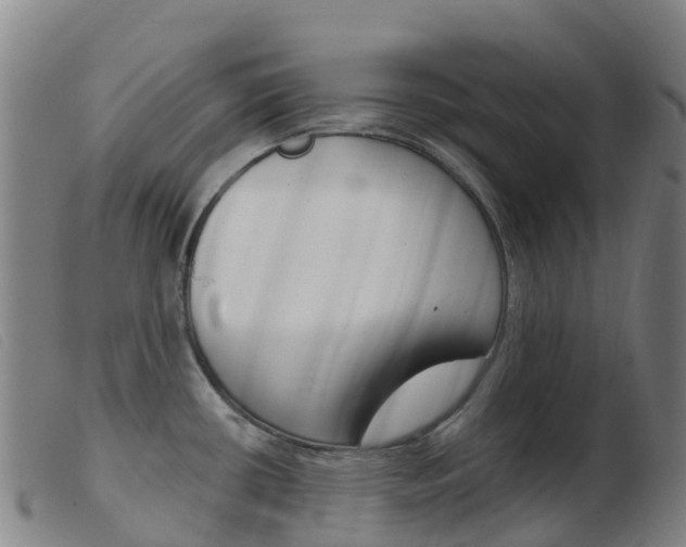 X0000103951434200809191200