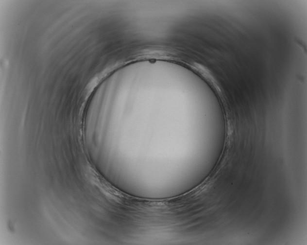 X0000103951435200809191200