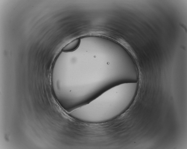 X0000103951436200809191200
