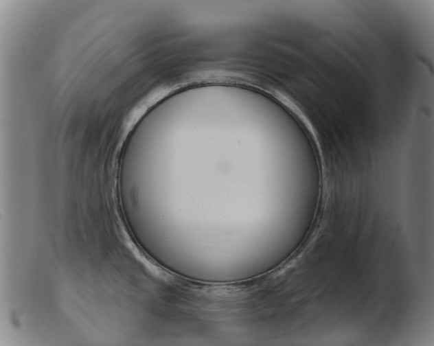 X0000103951437200809191200