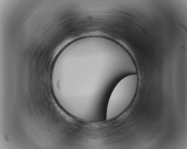 X0000103951438200809191200