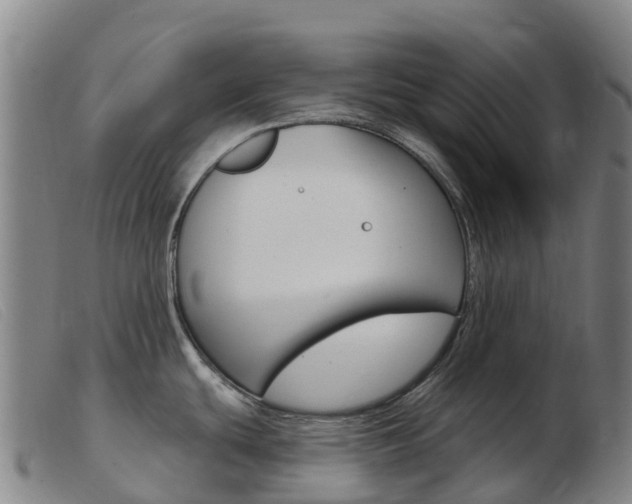 X0000103951439200809191200