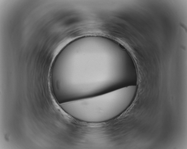 X0000103951440200809191200