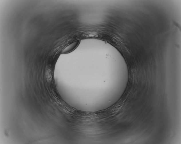 X0000103951442200809191200