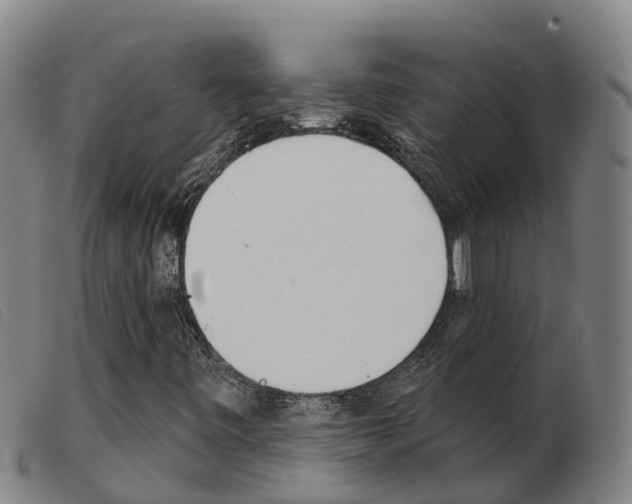X0000103951443200809191200