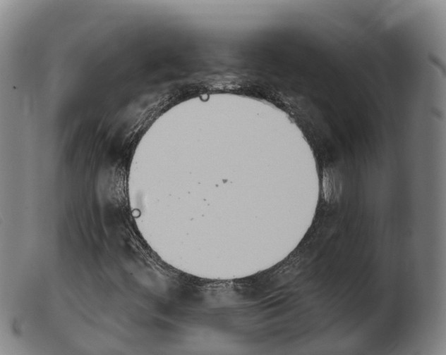 X0000103951444200809191200