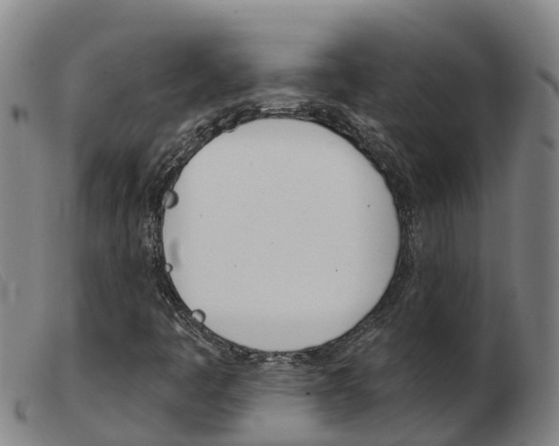 X0000103951445200809191200