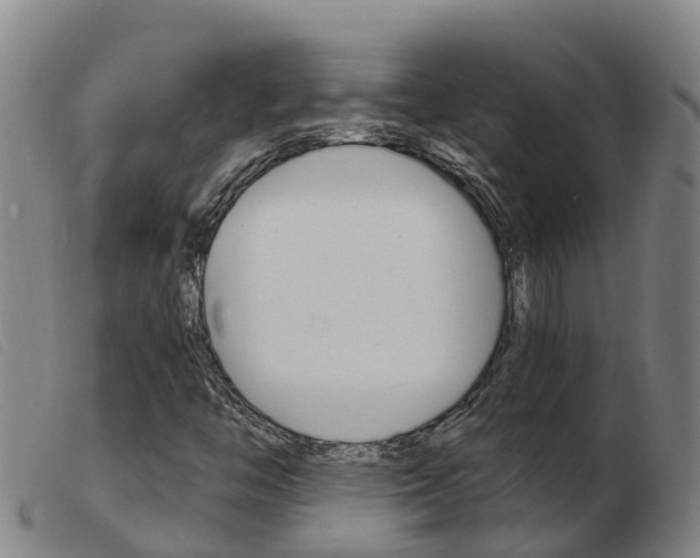 X0000103951446200809191200