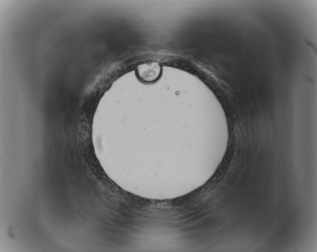 X0000103951447200809191200