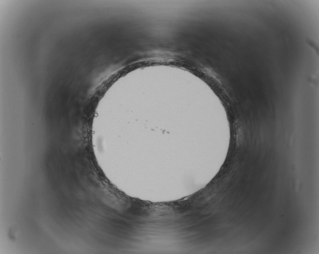 X0000103951448200809191200