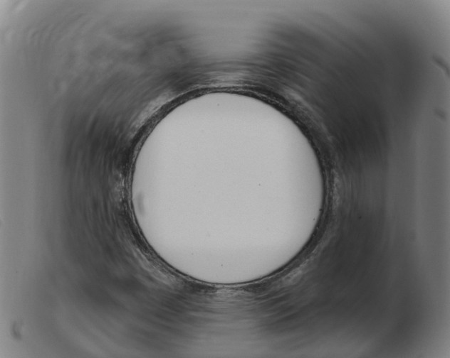 X0000103951449200809191200