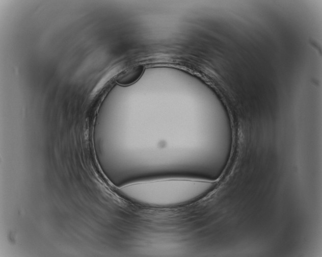 X0000103951450200809191200
