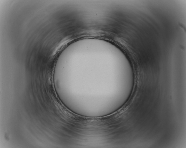 X0000103951451200809191200