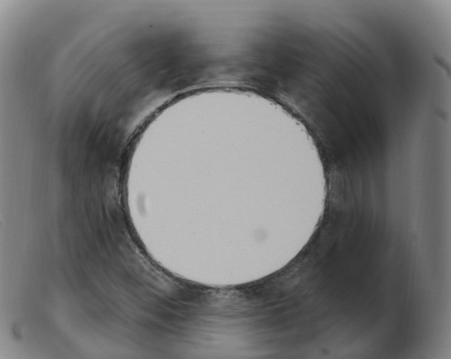 X0000103951452200809191200