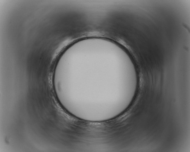 X0000103951454200809191159