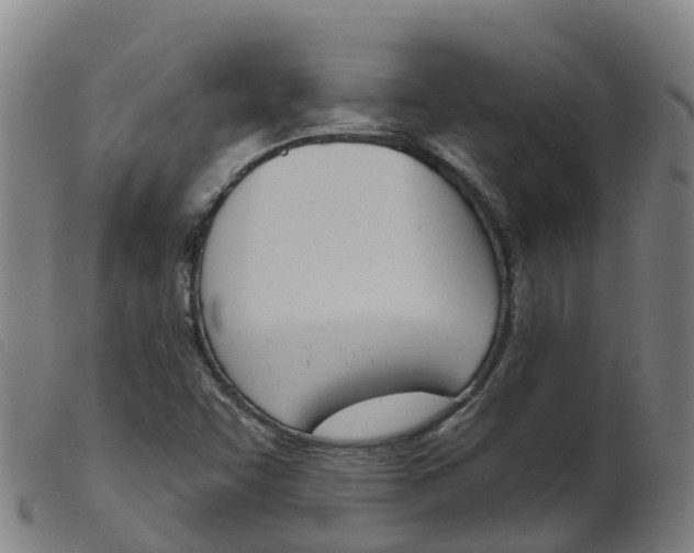 X0000103951455200809191159