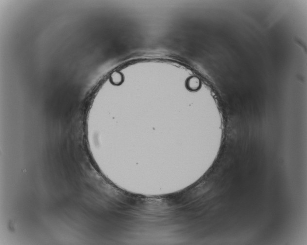 X0000103951456200809191159