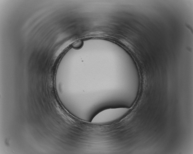X0000103951458200809191159