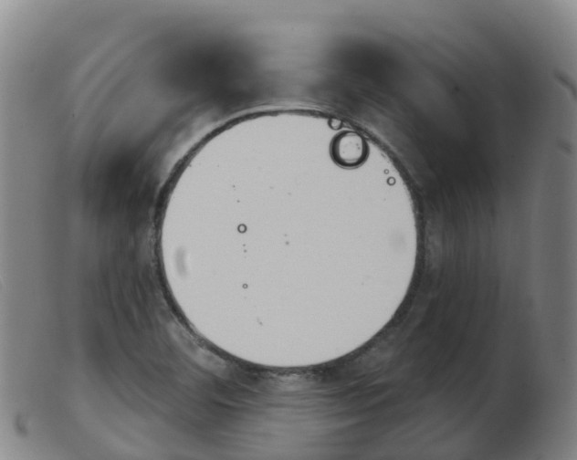 X0000103951460200809191159