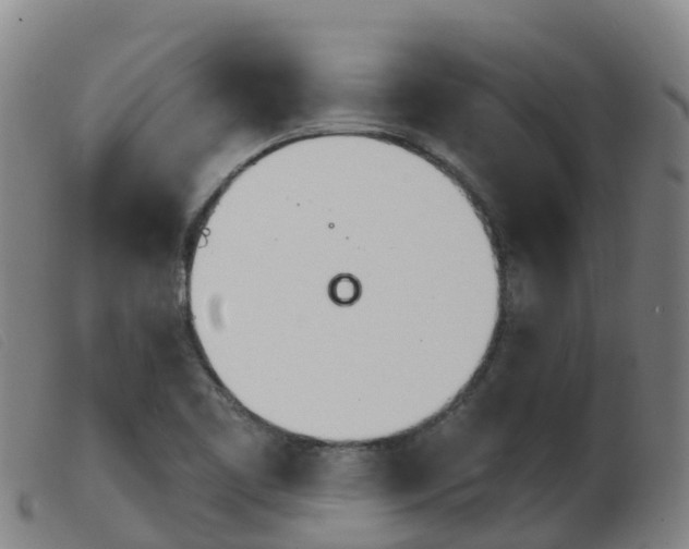 X0000103951461200809191159