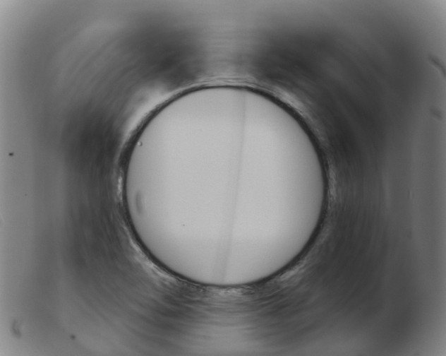 X0000103951462200809191159