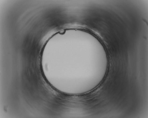 X0000103951463200809191159