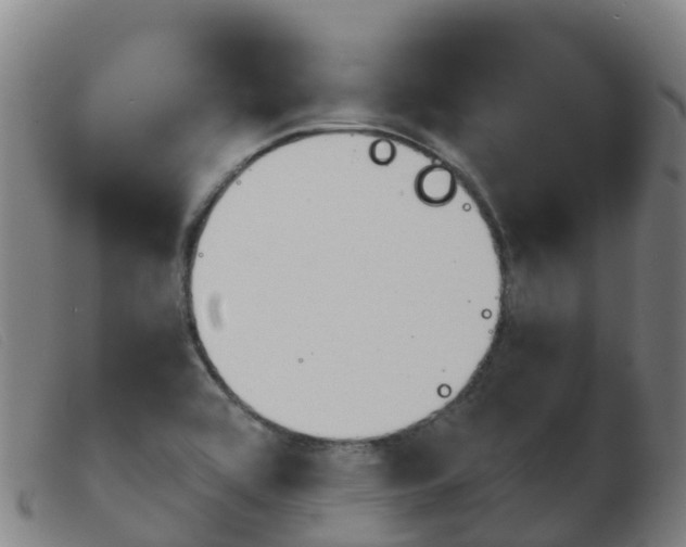 X0000103951464200809191159