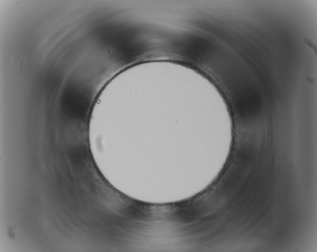 X0000103951465200809191159