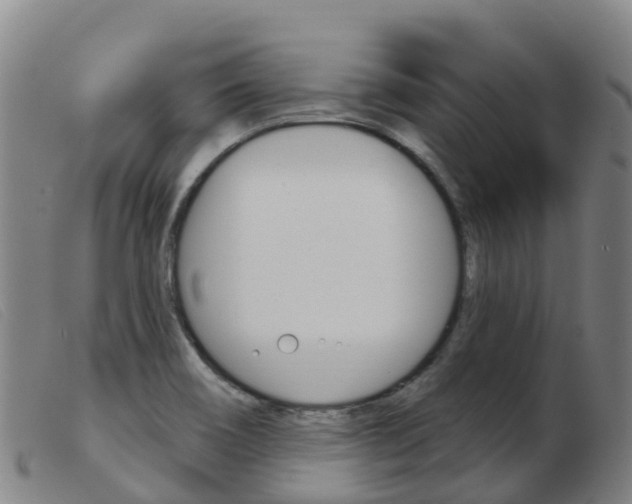 X0000103951466200809191159