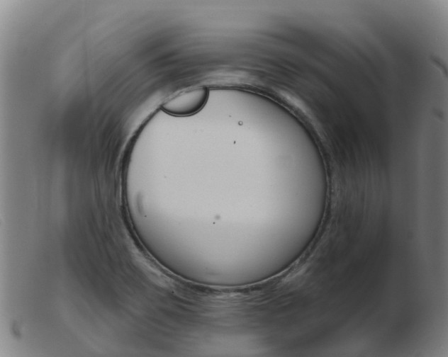 X0000103951467200809191159