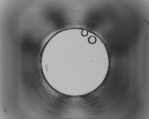 X0000103951468200809191159