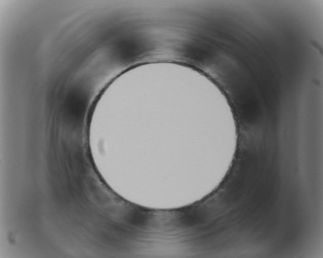 X0000103951469200809191159