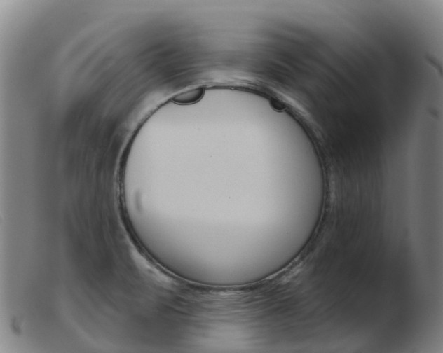 X0000103951471200809191159