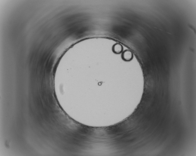 X0000103951472200809191159
