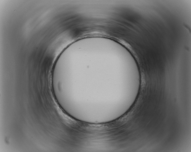 X0000103951474200809191159