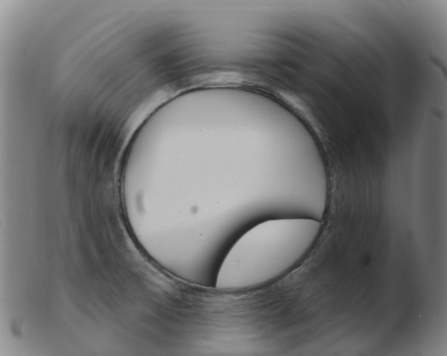 X0000103951475200809191159