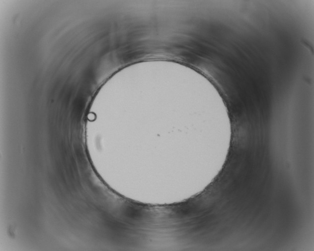 X0000103951476200809191159
