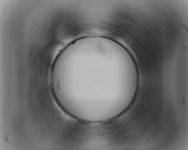 X0000103951477200809191159
