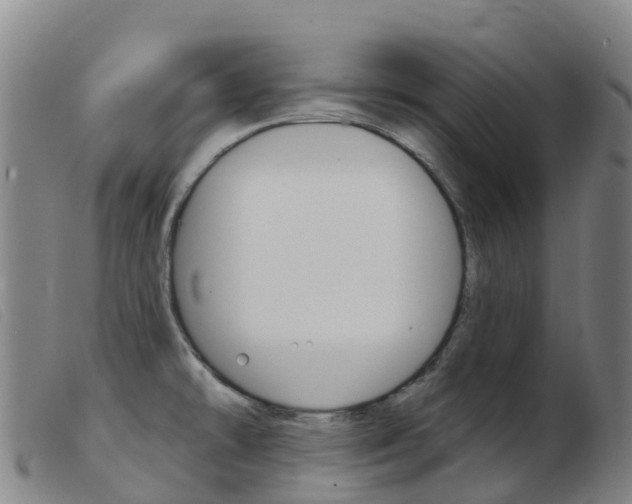 X0000103951478200809191159