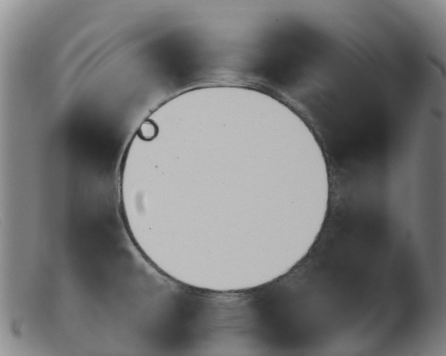 X0000103951479200809191159